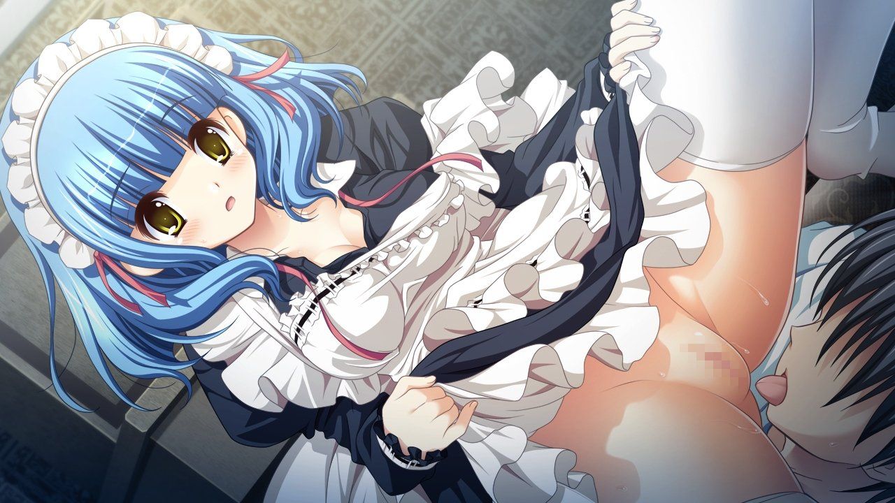 メイドさんに拒否権はありません えっちなご奉仕も立派なメイドの勤めです メイドさんのお仕事が勉強できる社会派二次元エロ画像